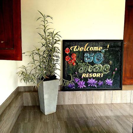 Salmanel Resort Ratnapura Ngoại thất bức ảnh